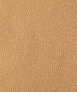 Palermo - Antique Gold