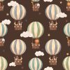 Animals in Hot Air Balloons